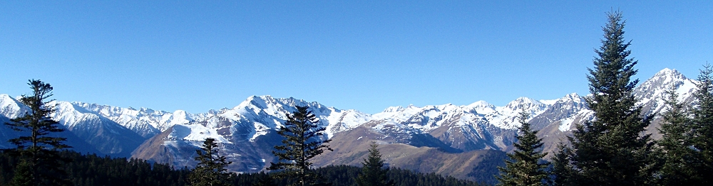 sample header image